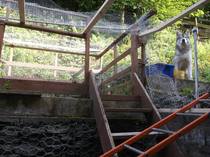Outdoor cat run/ pen