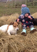 Tell us what your pets mean to you - for a chance to win a Fitbit Alta plus a copy of Finding Gobi. Now closed.