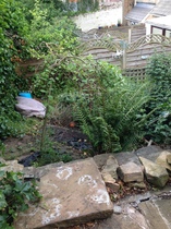 Steep "cliff" into neighbour's garden - what to put there?