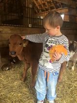 Tell Cadbury the funny things your children have said when visiting farms or the countryside - £300 voucher to be won NOW CLOSED