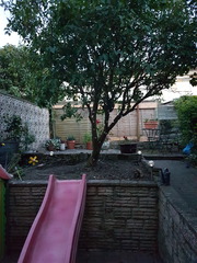 Find out how MNers are getting on with their Homebase Garden Goals challenge NOW CLOSED