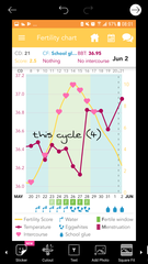 June Bus - hoping for that elusive BFP