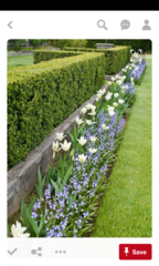 Front of house border ideas