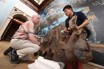 Win a family ticket to Dinosaurs of China at Wollaton Hall ****COMPETITION CLOSED****