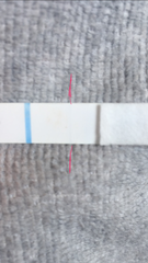 Jesus Christ someone tape my hands together - Prego Tests