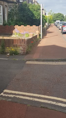 To be pissed off with the poppies?