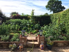 Allotment?Veg Patch Thread 10 - Plotmenters  busy into summer ! and loving James Wong