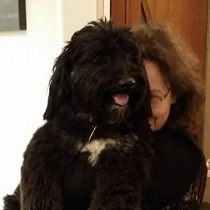 To ask to see a picture of your pet when it was a baby and now?