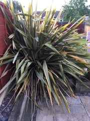 How do I manage this ? (Pics)