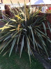 How do I manage this ? (Pics)