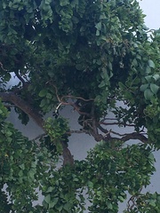 Can anyone identify this for me?