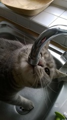 To want to drink...
