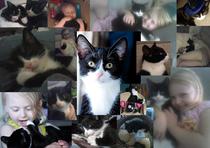 Tell us what your pets mean to you - for a chance to win a Fitbit Alta plus a copy of Finding Gobi. Now closed.