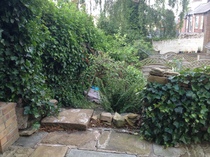 Steep "cliff" into neighbour's garden - what to put there?
