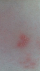 Any idea? photo included.