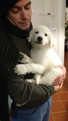 To ask to see a picture of your pet when it was a baby and now?