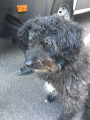 Rescue arriving v soon, insurance recommendations pls