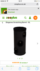 Indoor boys