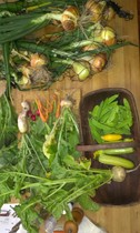 Allotment?Veg Patch Thread 10 - Plotmenters  busy into summer ! and loving James Wong
