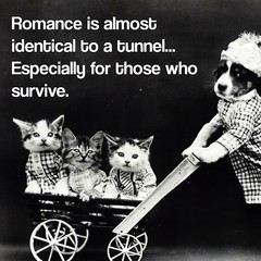 To introduce you to InspiroBot?