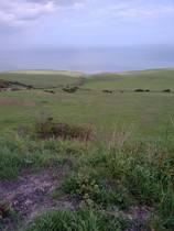 Photos taken on your cycle.