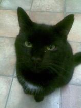 Frugaleers - joyfully jumping into June