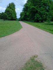 Photos taken on your cycle.