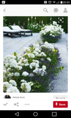 Front of house border ideas