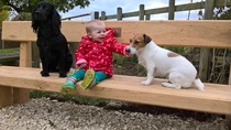 Tell us what your pets mean to you - for a chance to win a Fitbit Alta plus a copy of Finding Gobi. Now closed.