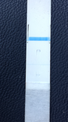 Jesus Christ someone tape my hands together - Prego Tests