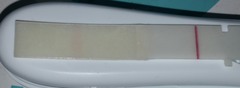 Is this test faulty?? FRER