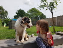 Tell Homebase how you will get your kids in the garden over the summer - £300 voucher to be won! NOW CLOSED