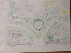 Allotment?Veg Patch Thread 10 - Plotmenters  busy into summer ! and loving James Wong