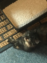 She's here!!!
