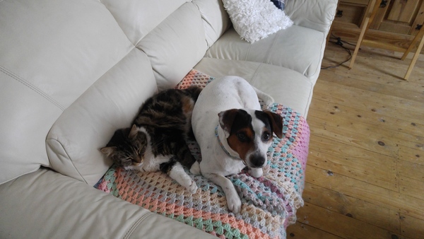 Am I being disgusting? Litter tray cleaning!