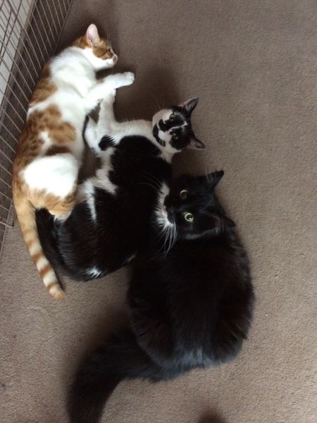 Ordered to put this pic up for you all