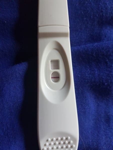 Jesus Christ someone tape my hands together - Prego Tests