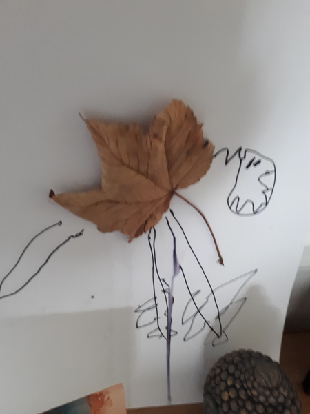 Child aged 5-11 who loves drawing? Enter the BIC® competition