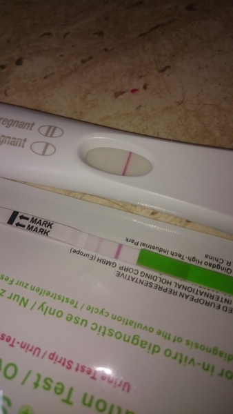 No period or pregnancy symptoms :/??