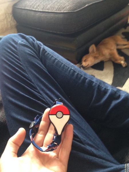 Pokemon Go #10. See ya later Feralligator, in a while Totodile