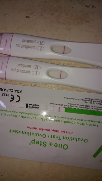 No period or pregnancy symptoms :/??