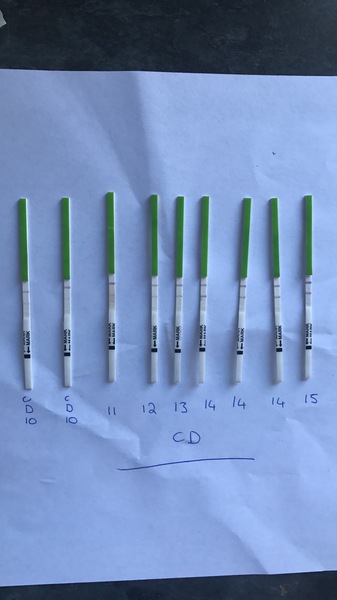 Back again! OPK HELP