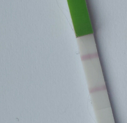 Opk peeps - is rhis a + opk  please?
