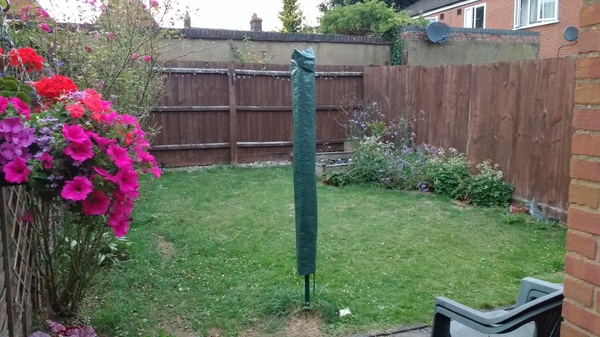 Small square garden anyone?