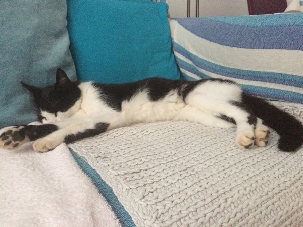 I have been relegated to the floor...