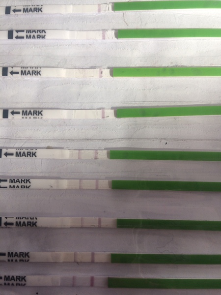 Help reading opk strips :/