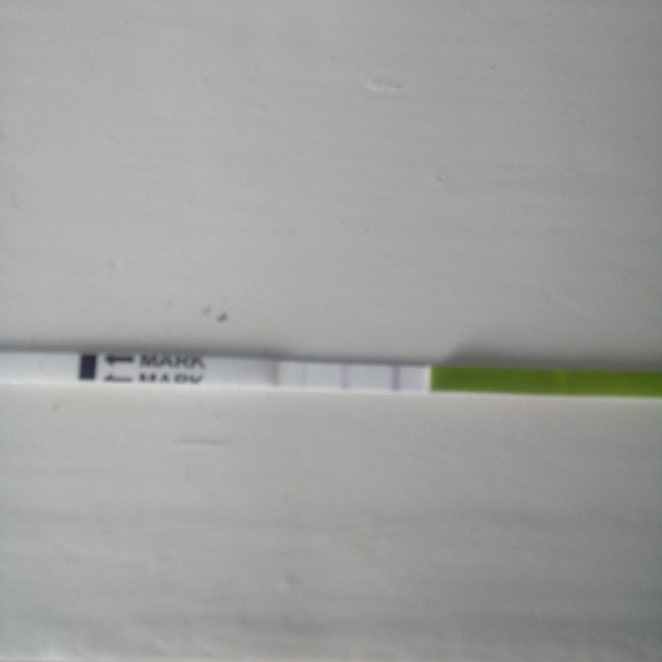 Ok so is this a positive opk??
