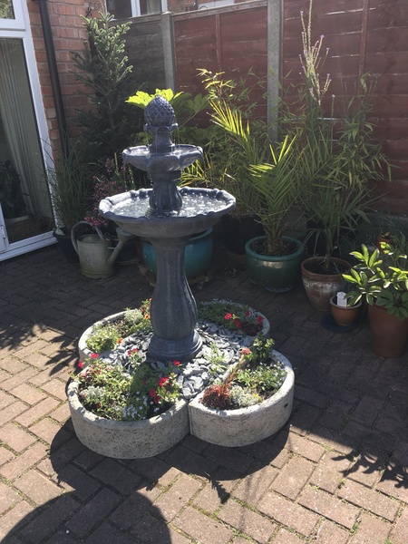 What shall we do with our new garden? Pics attached