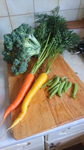 Allotment?Veg Patch Thread 10 - Plotmenters  busy into summer ! and loving James Wong