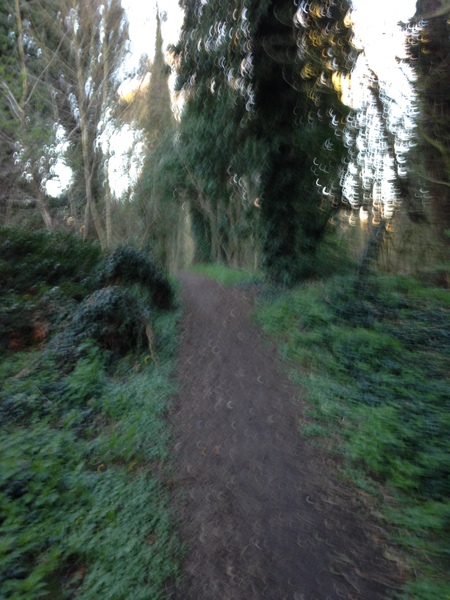 Photos taken on your cycle.